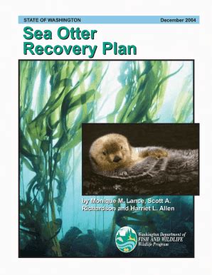 Book cover: Draft Washington State recovery plan for the sea otter